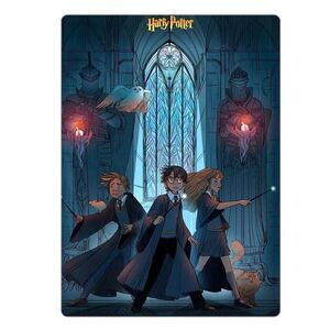 Harry Potter Hermione Magnet